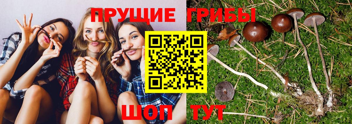Мурманск  Галлюциногенные грибы мухоморы  Вход с VPN  Псилоцибиновые грибы прущие грибы 